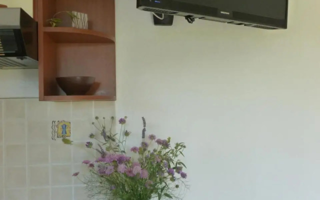 Apartment Botic