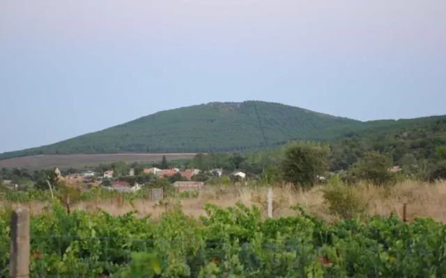 Casa Rural El Portal del Moro