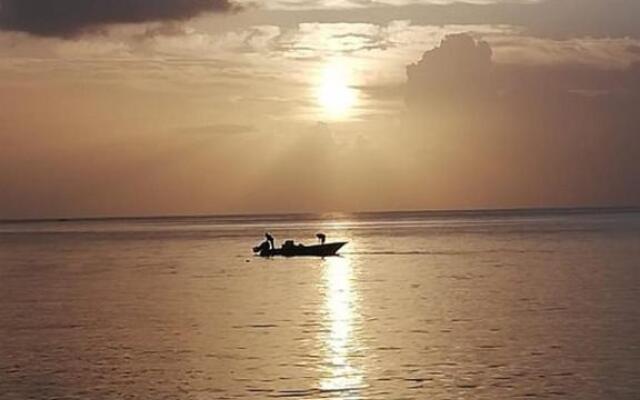 Gîtes Les Lodges des Hauts de Deshaies bungalow Aruba