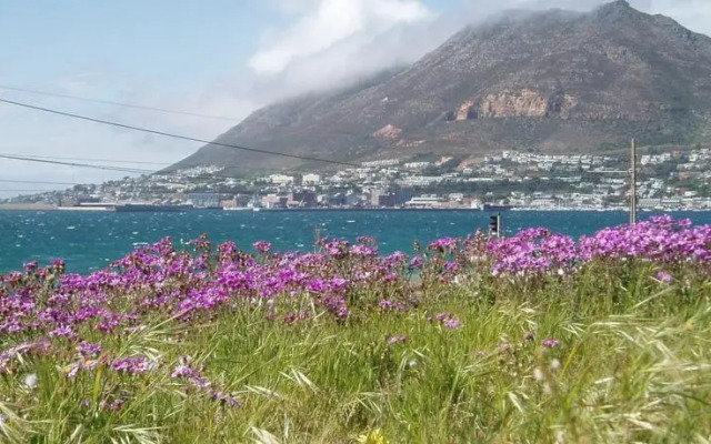 Holiday home Simons Town Lodge