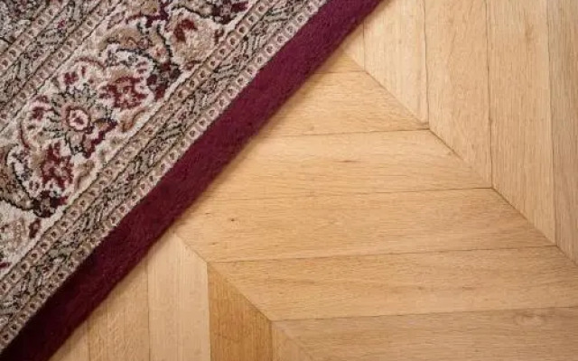 I Gatti di Roma - BB