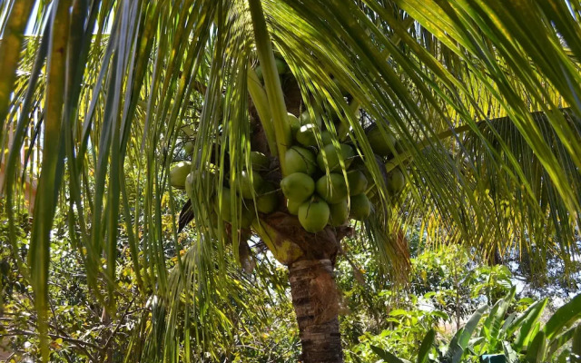 Villas at the Residence Sosnovka