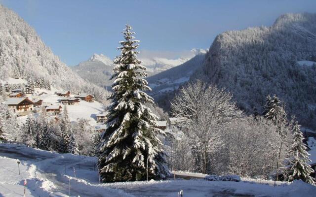 Appartement La Clusaz, 1 pièce, 4 personnes - FR-1-459-102