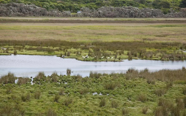 Otway coastal villas