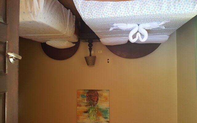 Hotel Vista al Tortuguero