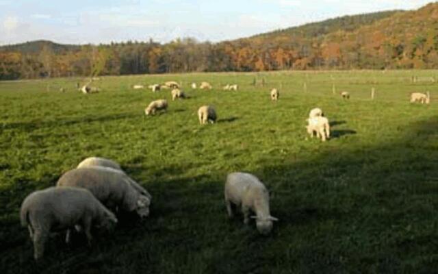 Yorkshire Farm
