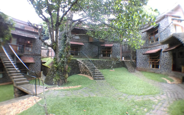 Wildernest