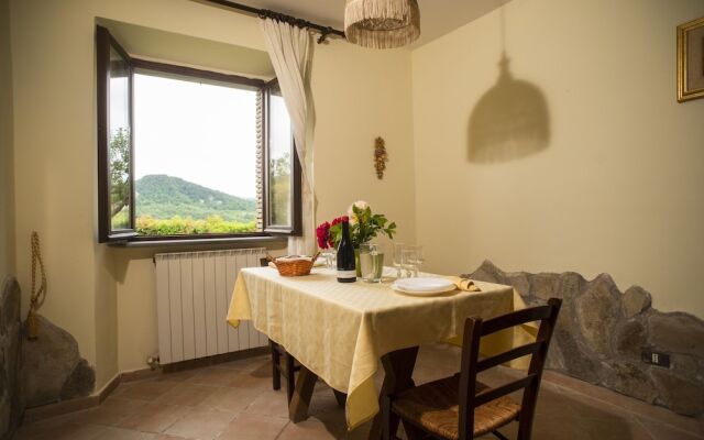 Agriturismo La Contessa Quarter Horse