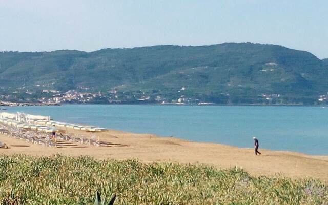 I Gigli di Mare