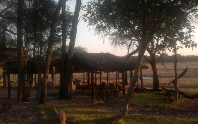 The Tree Lodge at Sikumi