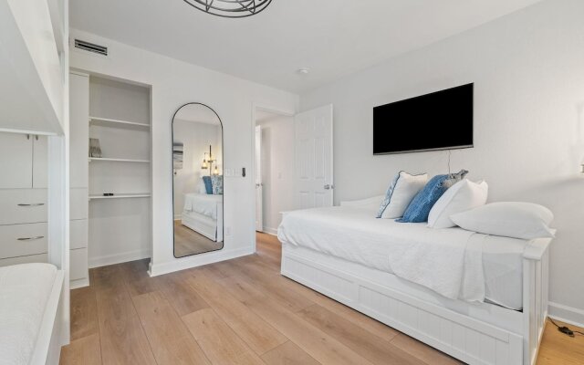 Needle Rush Point D11