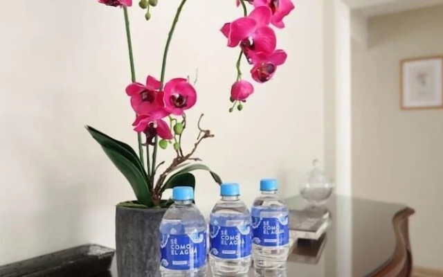 Lujoso y encantador dpto en Miraflores centro