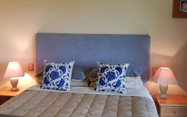 Hawkdun Rise Vineyard & Accommodation