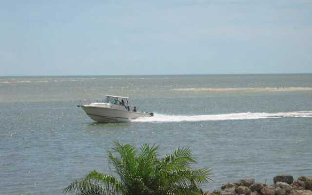 Marco Island Vacation Pool Homes