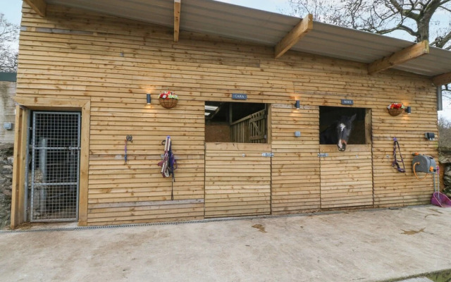 Coed y Glyn Bach Equestrian