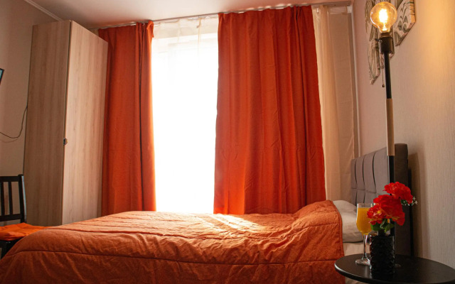 Питерские каникулы на проезде Толубеевский