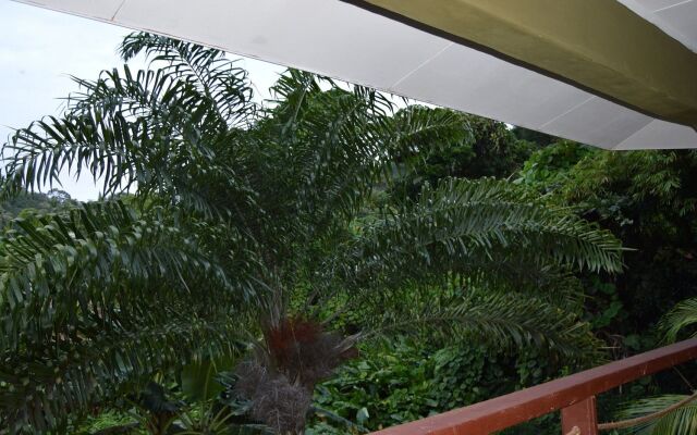 La Nature Apartments