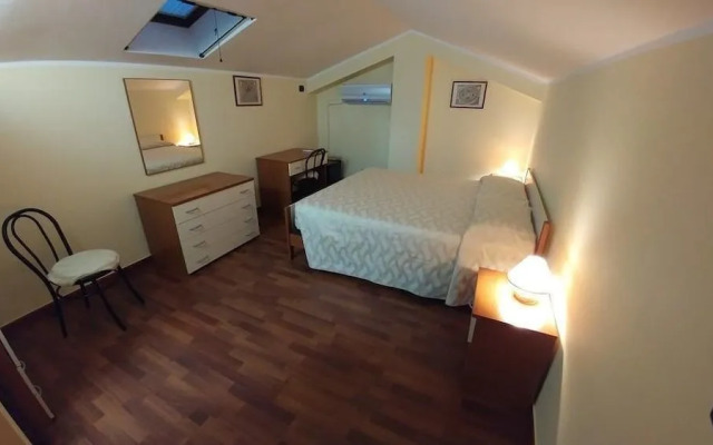 Bruno B&B