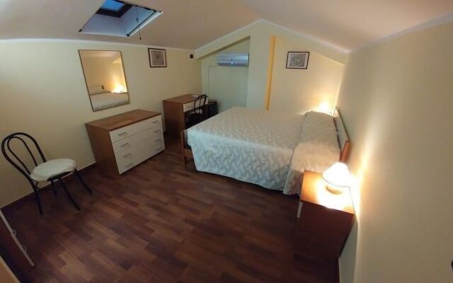 Bruno B&B