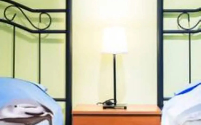 Sea Stars Las Canteras