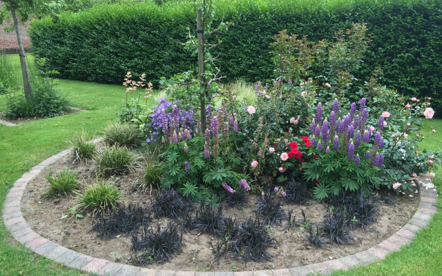 B&B De Rentmeesterhoeve