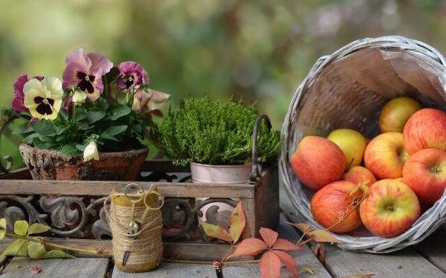 BB Le Jardin Lazise