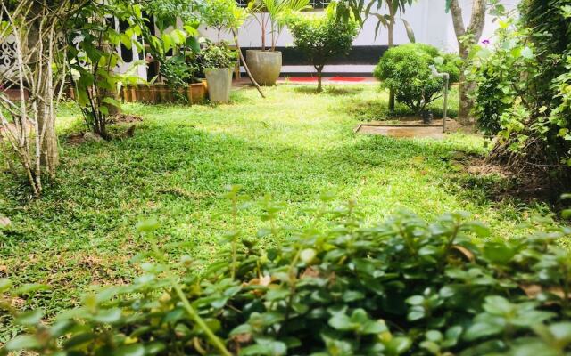 Nature Rex - Hostel