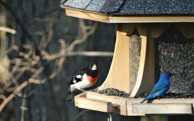 Tranquil Moments Bed & Breakfast