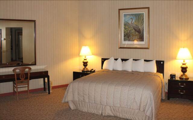 THE JACK WARNER at NorthRiver