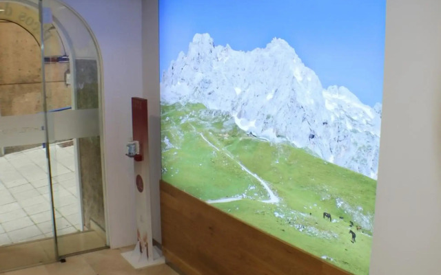 Hotel Picos de Europa