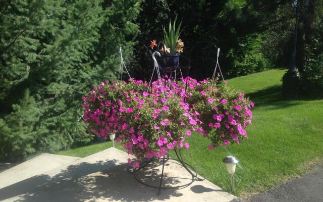 Eagle's Nest B & B