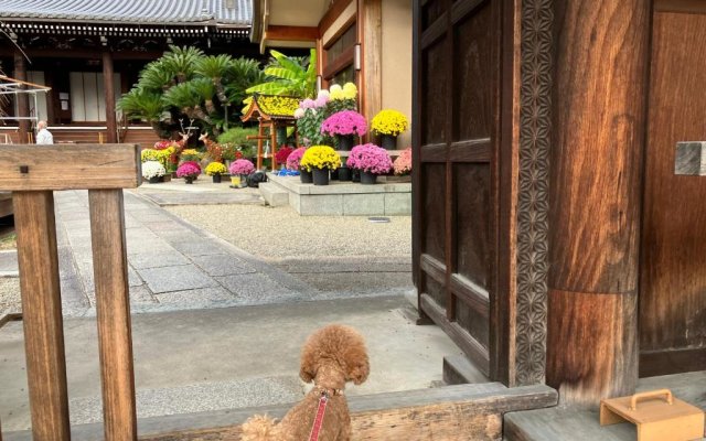 Residence Ferie Nara station