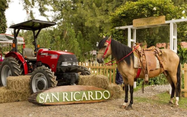 San Ricardo Farm and Lodge