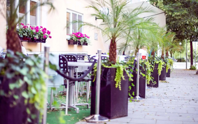 Home Hotel Tapto