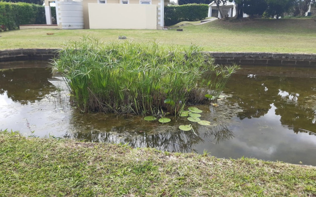 43 Montego Bay, Caribbean Estate