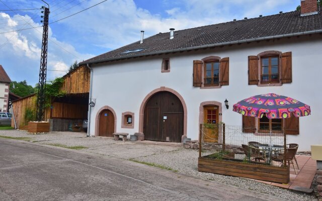 Apartment in Saint-dié-des-vosges With Terrace