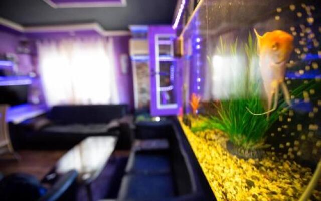 S Type Apartment