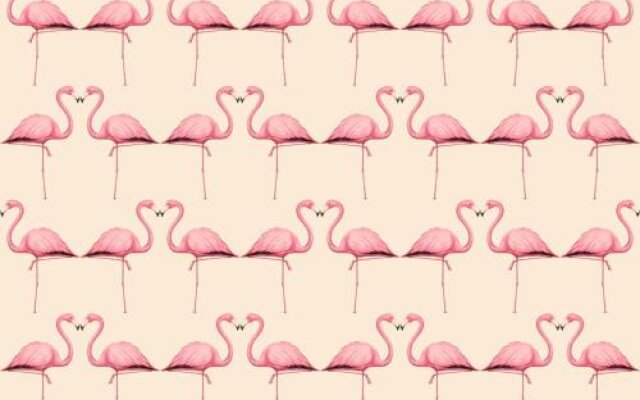 Flamingo Hostel Costinesti