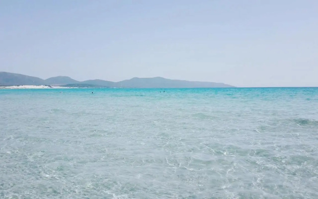 Casa vacanze kitesurf Apt 3 - Gli Ulivi