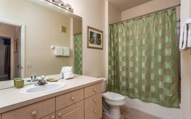 Windsor Palms-ru847