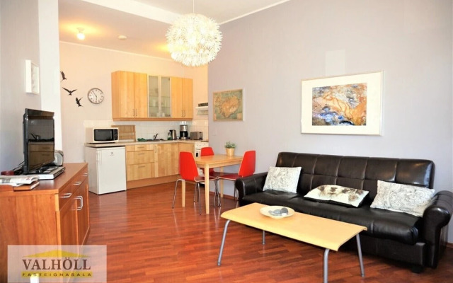 Reykjavik Center Condos