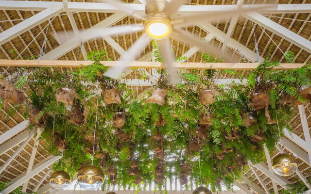 Le Sivory Punta Cana By PortBlue Boutique