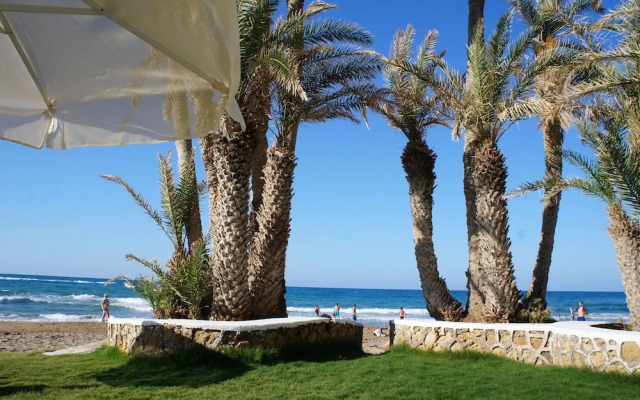 Zeus Hotels Palm Beach