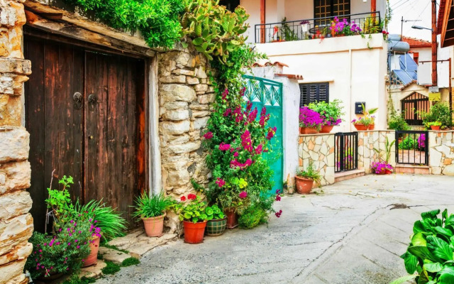 Palm garden paradise