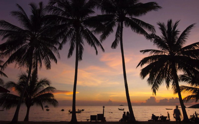 Palm Leaf Resort