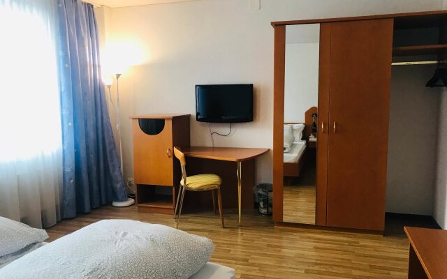 Park Hotel Bellevue Lenk