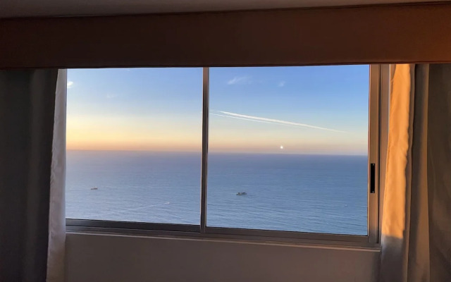 Palmetto Suite Superior 3901