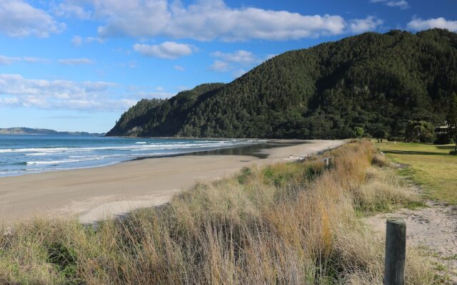 Pauanui Beach Retreat