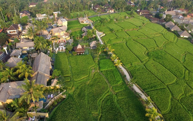 Курортный отель Wapa di Ume Ubud Resort & Spa