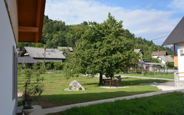 Grandma's House